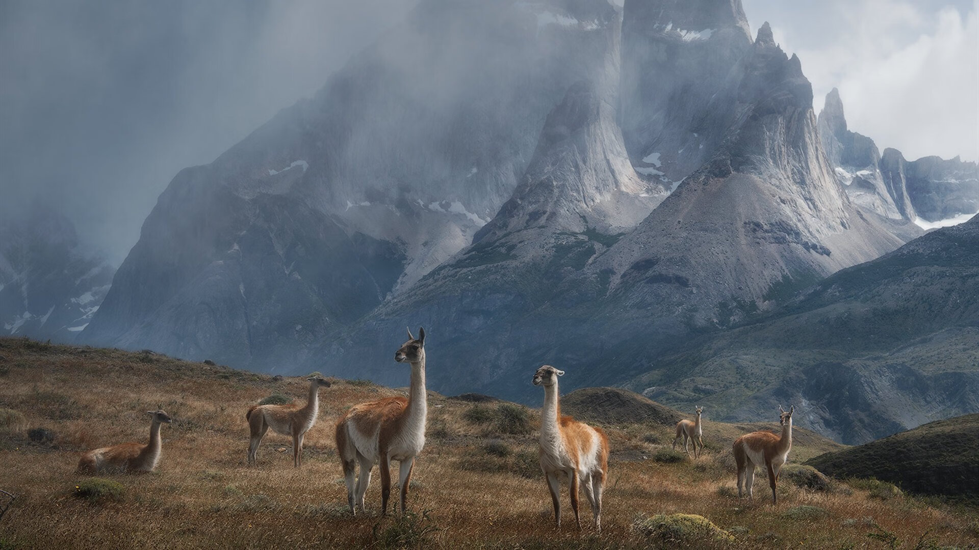史上最震撼的“逆转战”，你看过哪一场？，电影逆转
