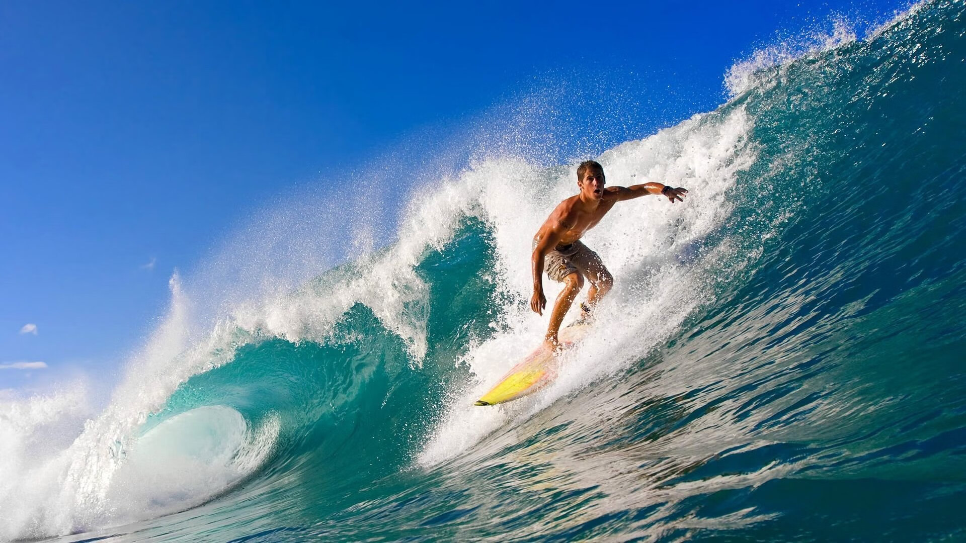 Jiu You-国家体育文化研究所发布体育题材文艺作品创作扶持计划，国家体育文件